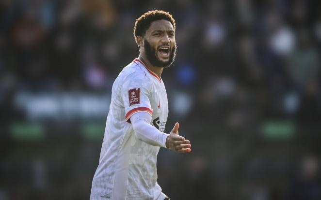 高控球体系 高控球体系