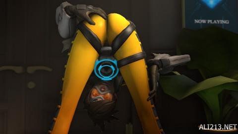 的职业生涯 的职业生涯