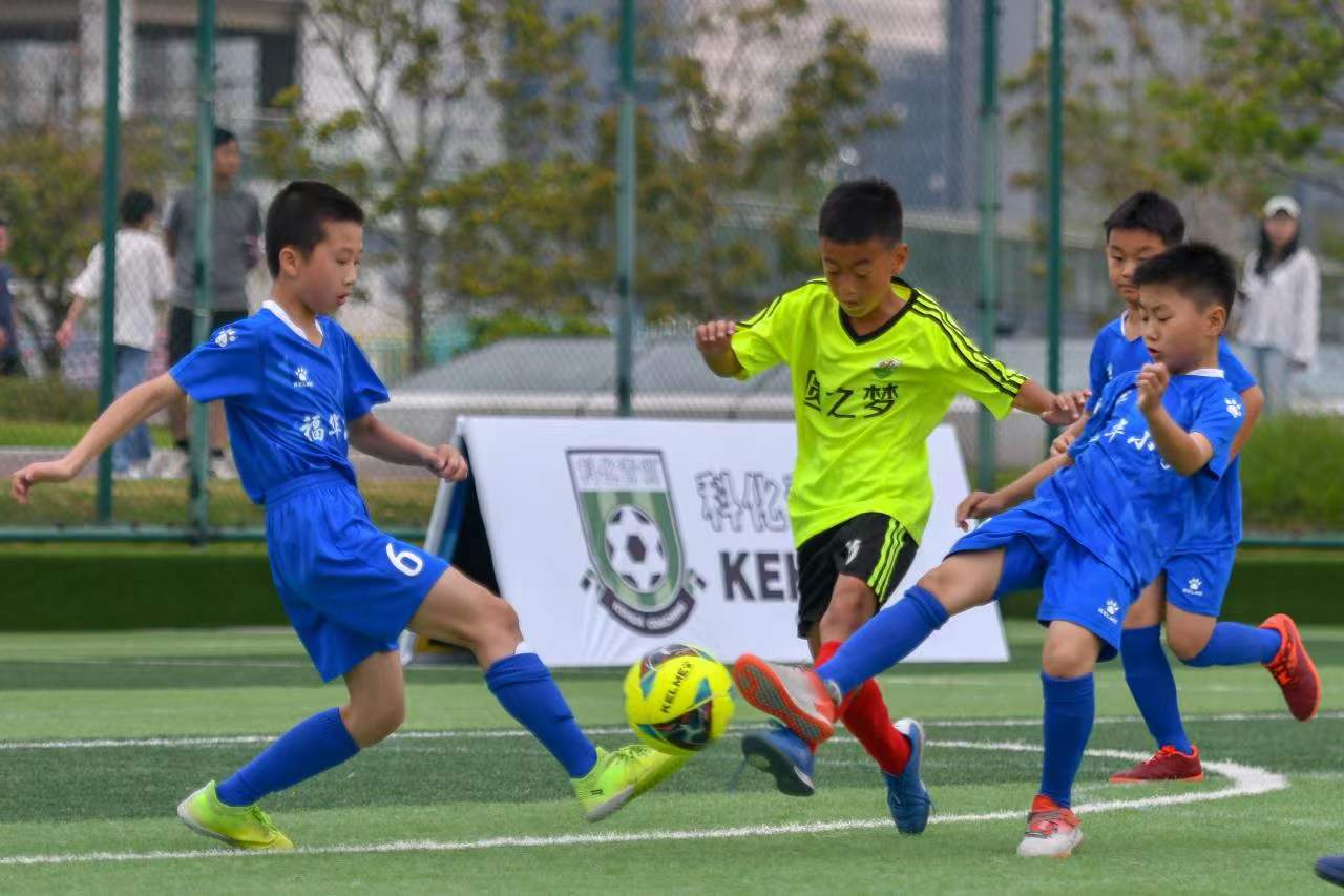 网则因球队 网则因球队