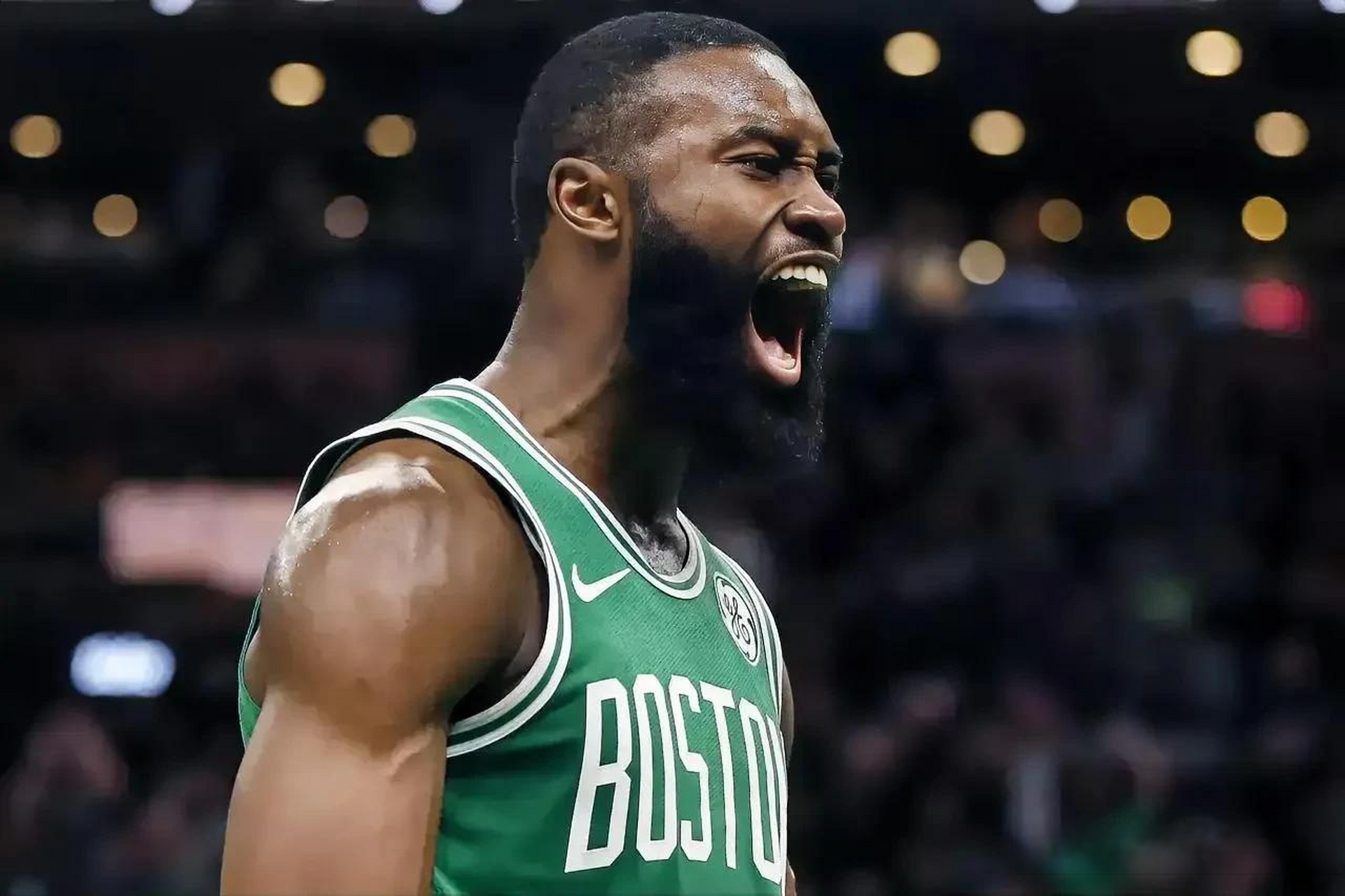 务实的进化 务实的进化